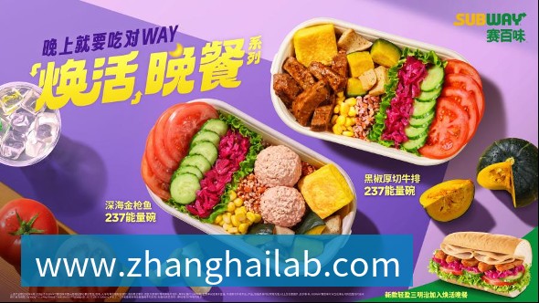 智库级深度复盘：商业航天星链协同测控云平台——从“单星孤岛”